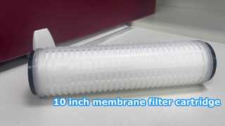 Hộp lọc màng DOE 10 inch