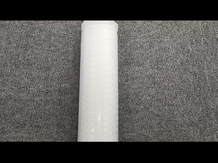 Hộp lọc màng tương thích axit 5 inch 10 inch 20 inch